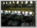 Thumbnail image for /Images/Gallery/Reunion/2006/Riverboat/Web/17.jpg